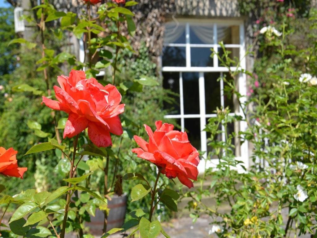 Powis House B&B Стерлінг Екстер'єр фото